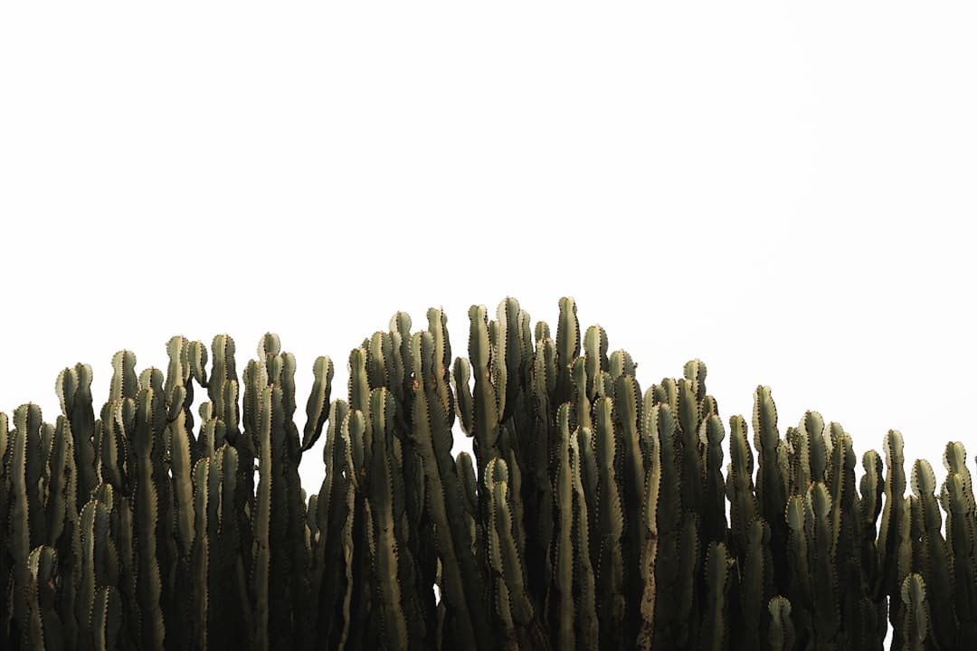 北汽集团上半年销量同比增长6%